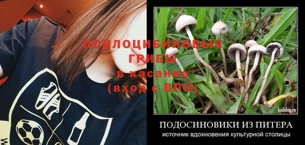 дурь Алексин
