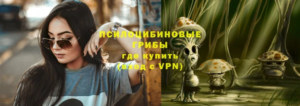 ПСИЛОЦИБИНОВЫЕ ГРИБЫ Алзамай