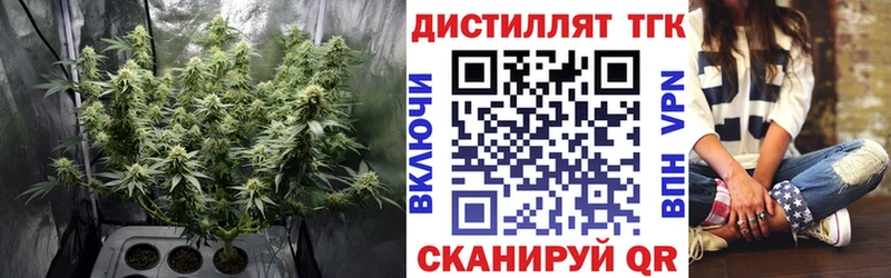 Дистиллят ТГК Wax  Елизаветинская 