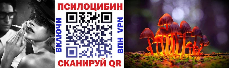 Псилоцибиновые грибы Psilocybine cubensis  Елизаветинская 